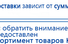 Электроды Скэнар -  двойной овал 55х90 мм купить в Уссурийске, Электроды Скэнар купить в Уссурийске, Скэнар официальный сайт - denasvertebra.ru